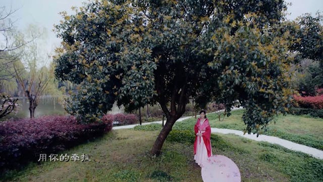 Cẩm Tú Vị Ương | Tập 30