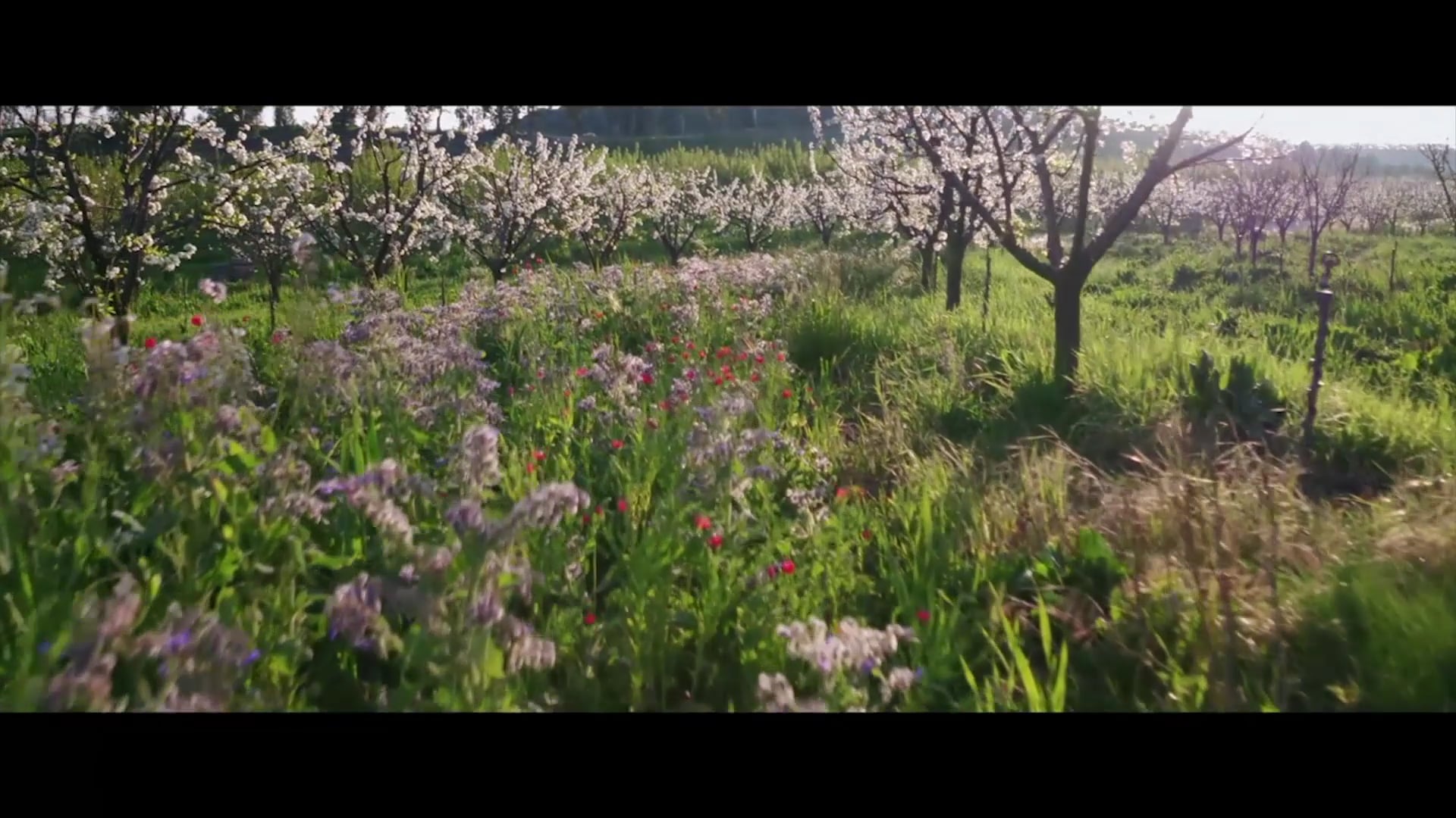 Victoria Tố Uyên Show | 04/04/2019