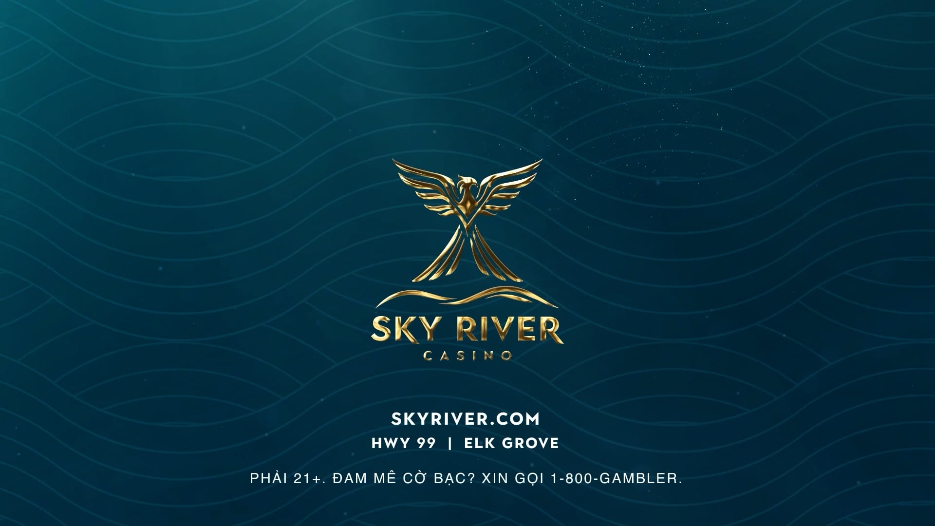 Hollywood First Look | 3/1/2026