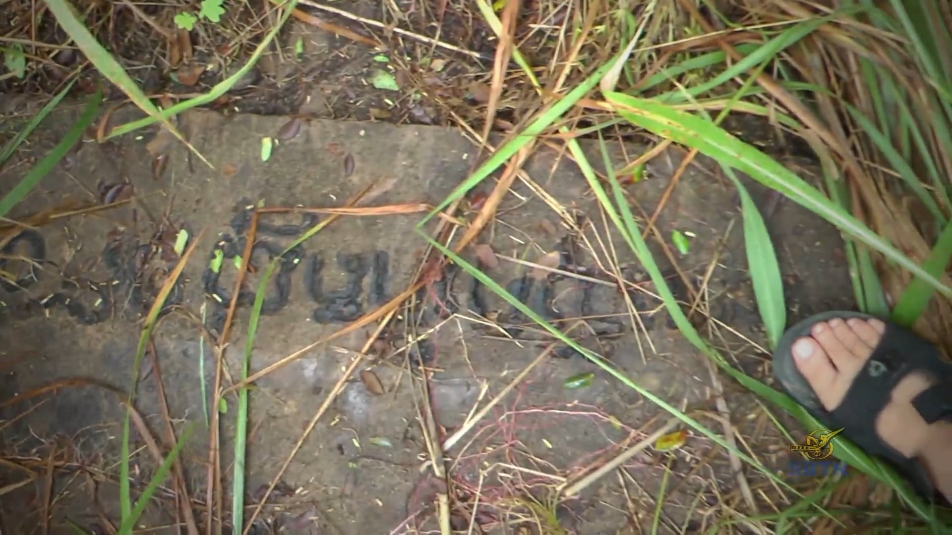 Tị Nạn Việt Nam - Phần 10