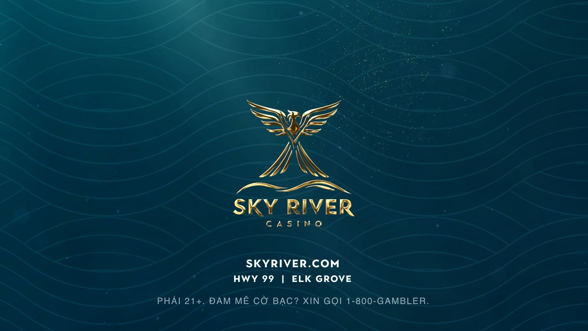 Hollywood First Look | 17/10/2025