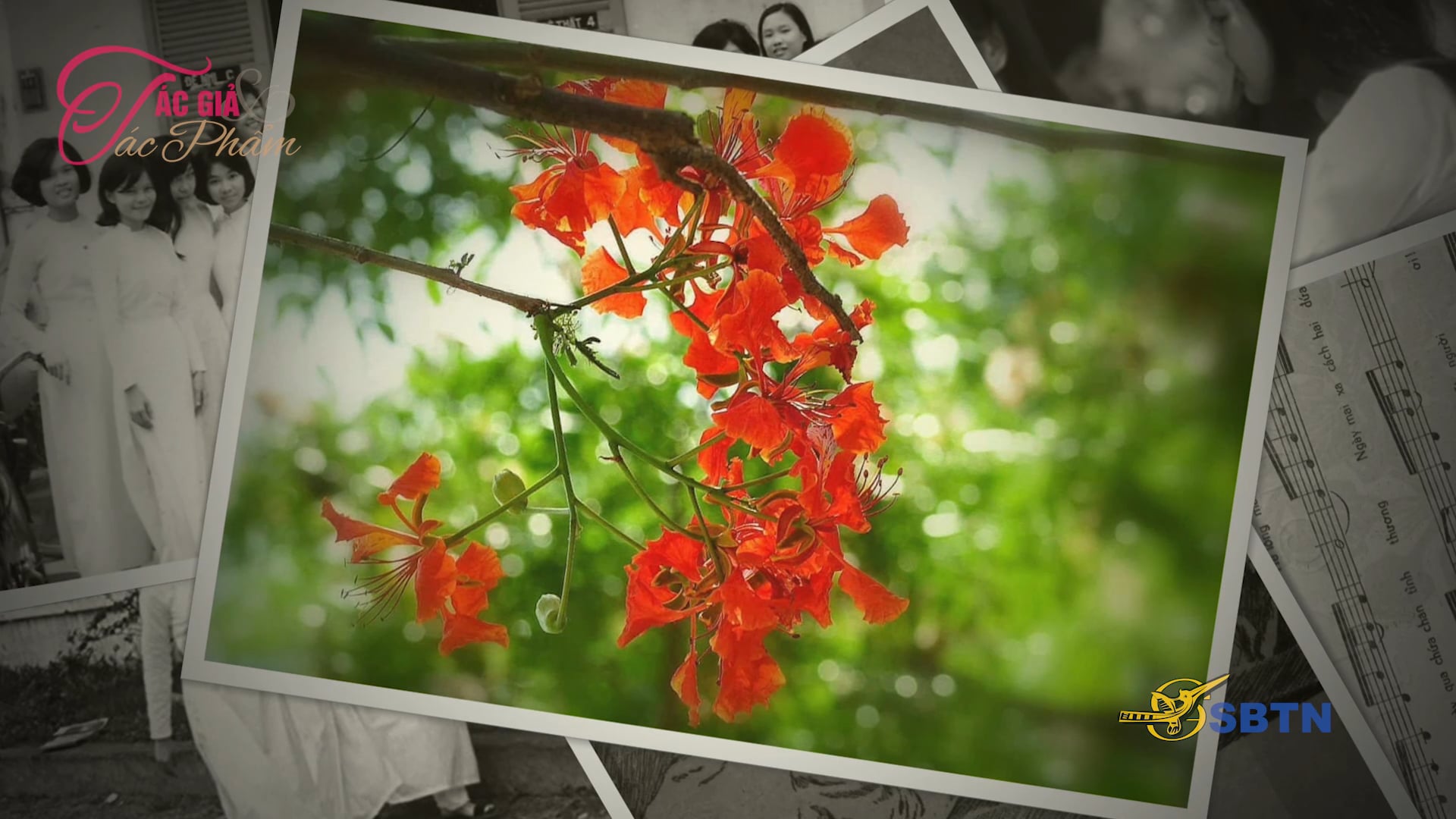 Tác Giả & Tác Phẩm | Tuổi Học Trò