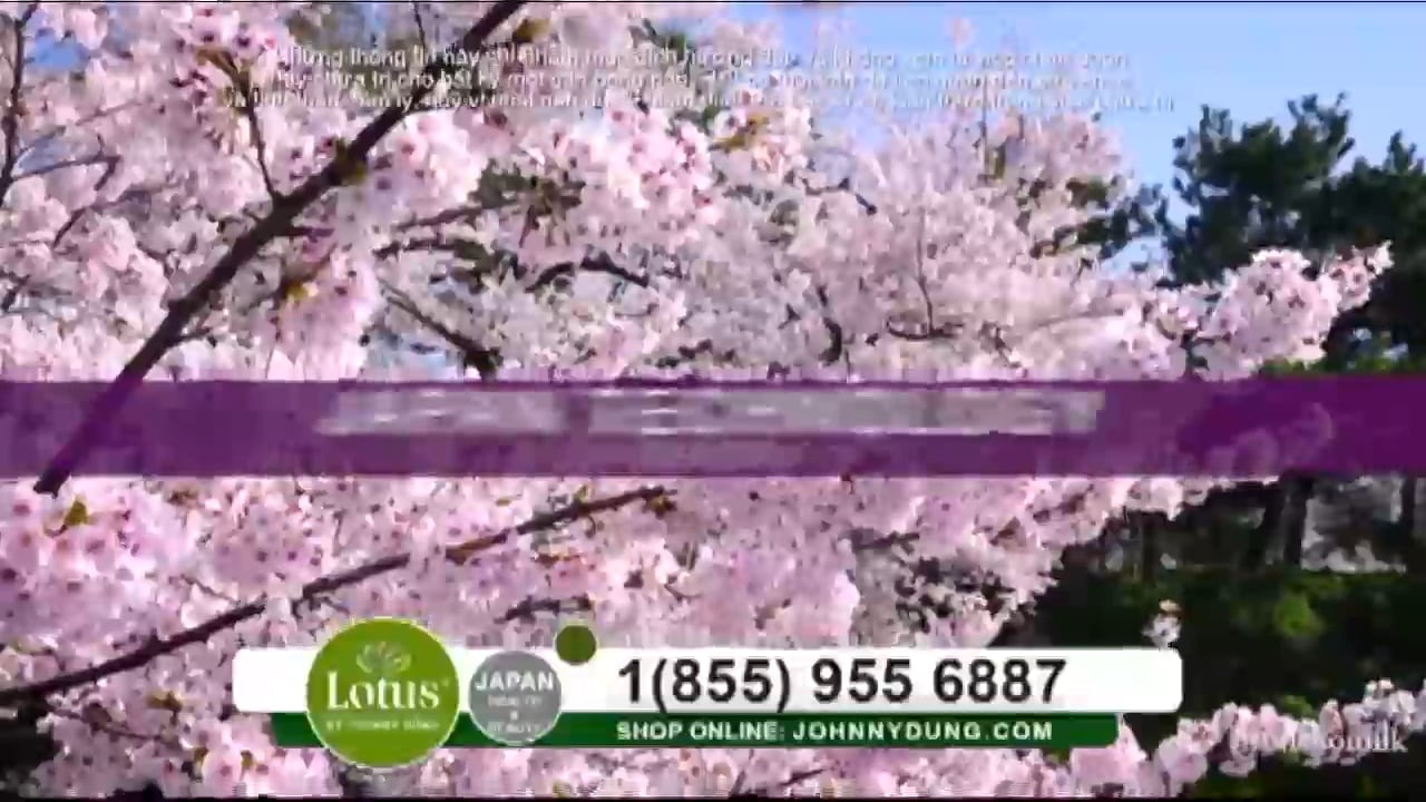 Suối Nguồn Âm Nhạc | Show 821