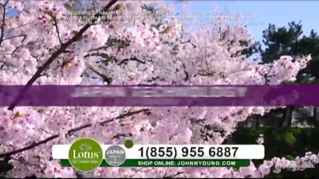 Suối Nguồn Âm Nhạc | Show 821