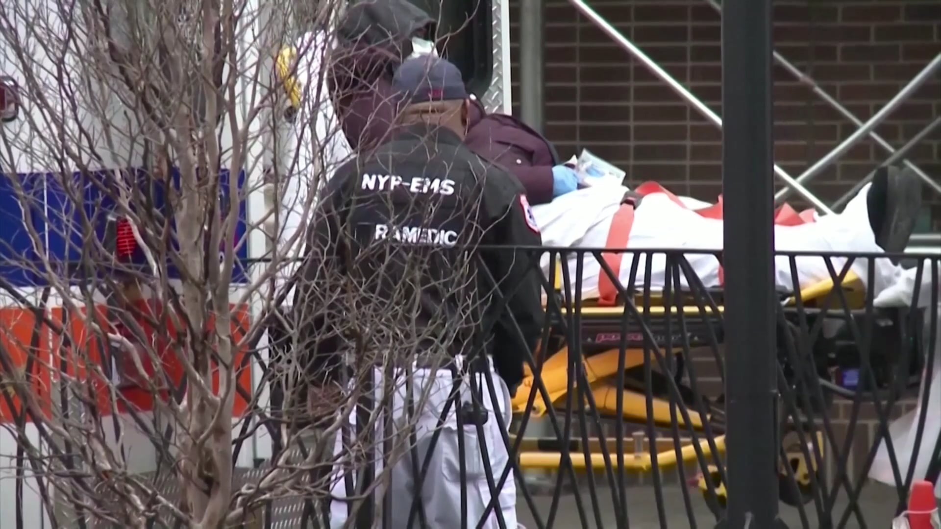 Election 2020 | 19/11/2020