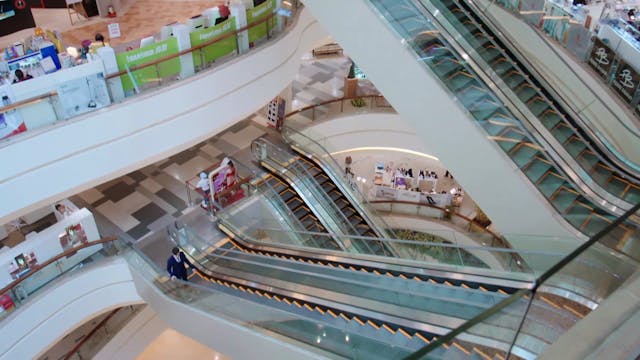 Bạn Có Học Đại Học Không | Tập 11