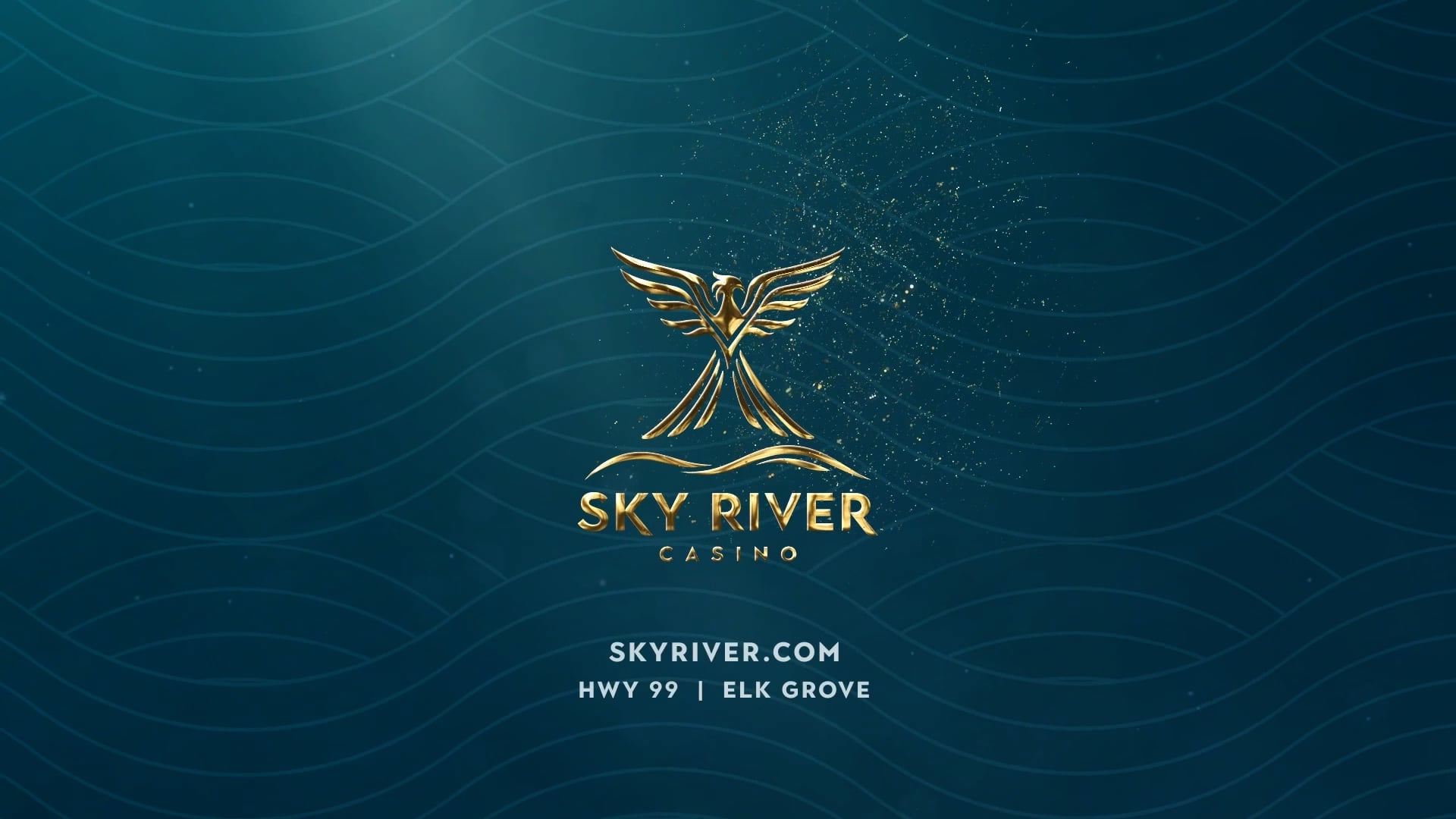 Hollywood First Look | 29/11/2025