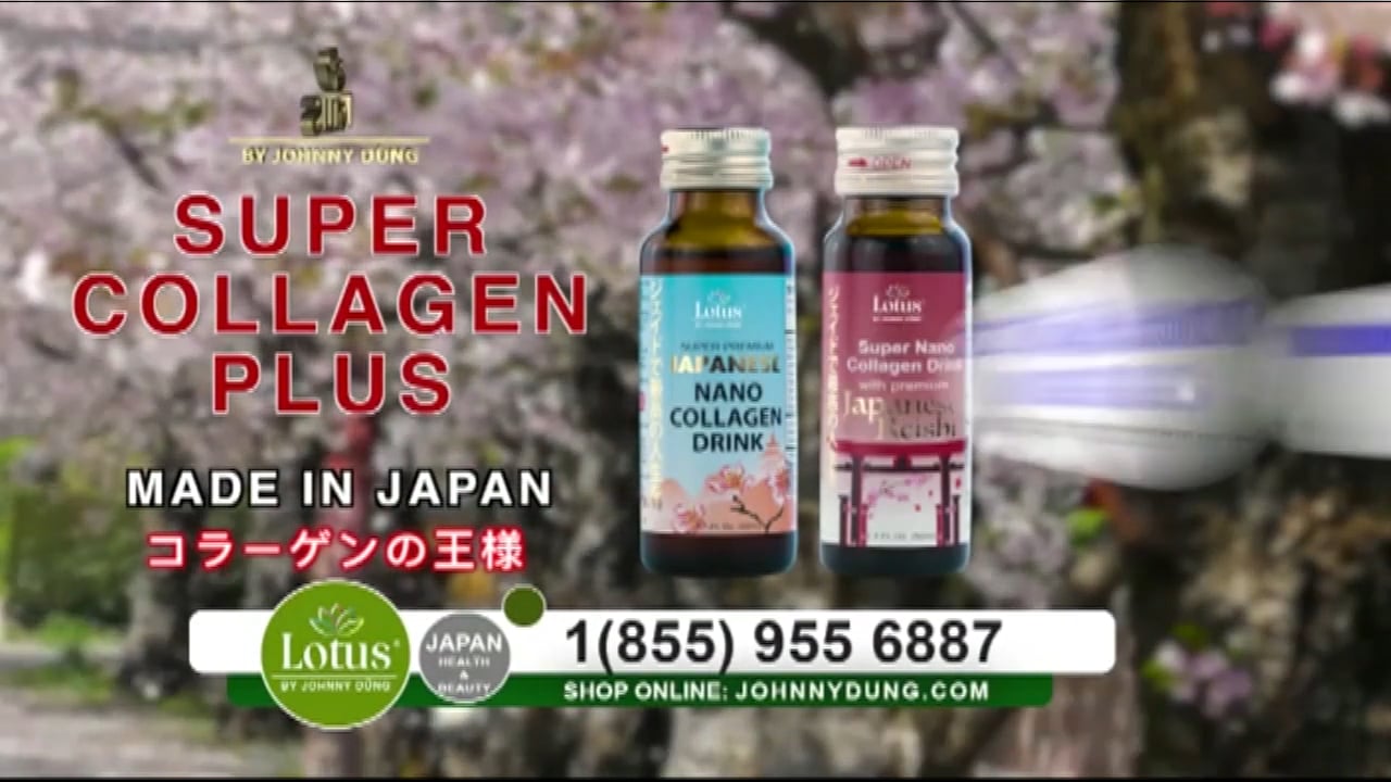 Suối Nguồn Âm Nhạc | Phạm Duy | Show 834