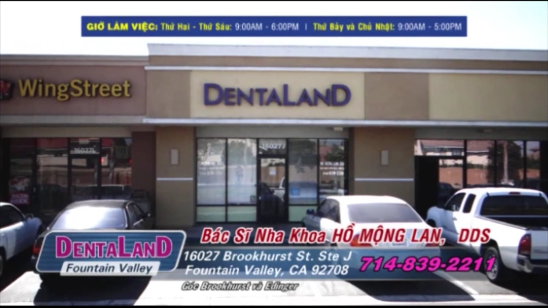 V News với Thuý Vi | Show 1080