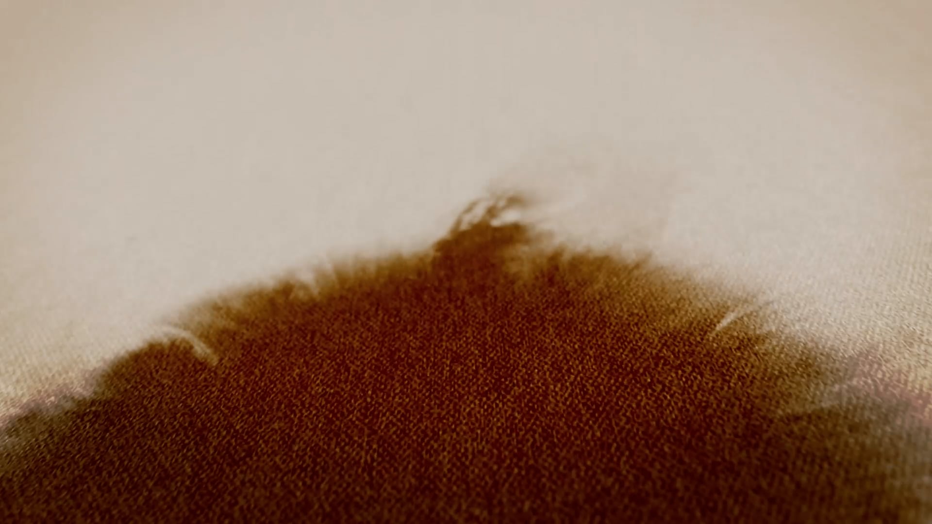 Quân Sư Liên Minh - Phần 2 | Tập 41