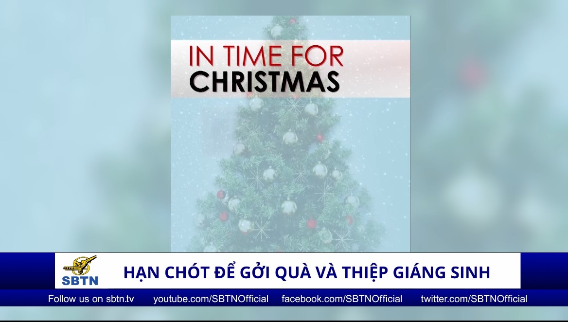 Tin Buổi Tối | 18/12/2021