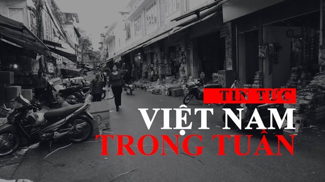 Tin Tức Việt Nam Trong Tuần | 20/12/2022