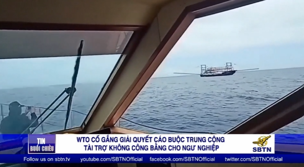 Tin Buổi Tối | 16/08/2021