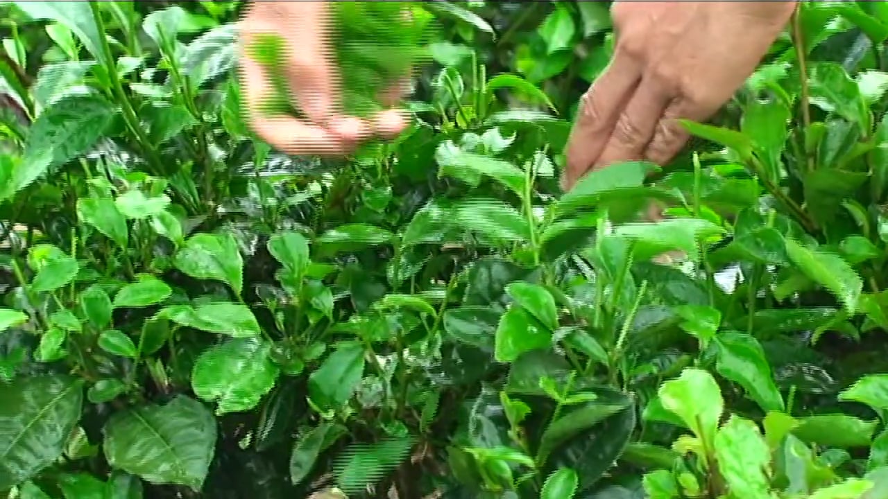 Hành Trình Xuyên Việt 09