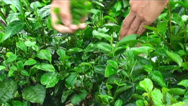 Hành Trình Xuyên Việt 09