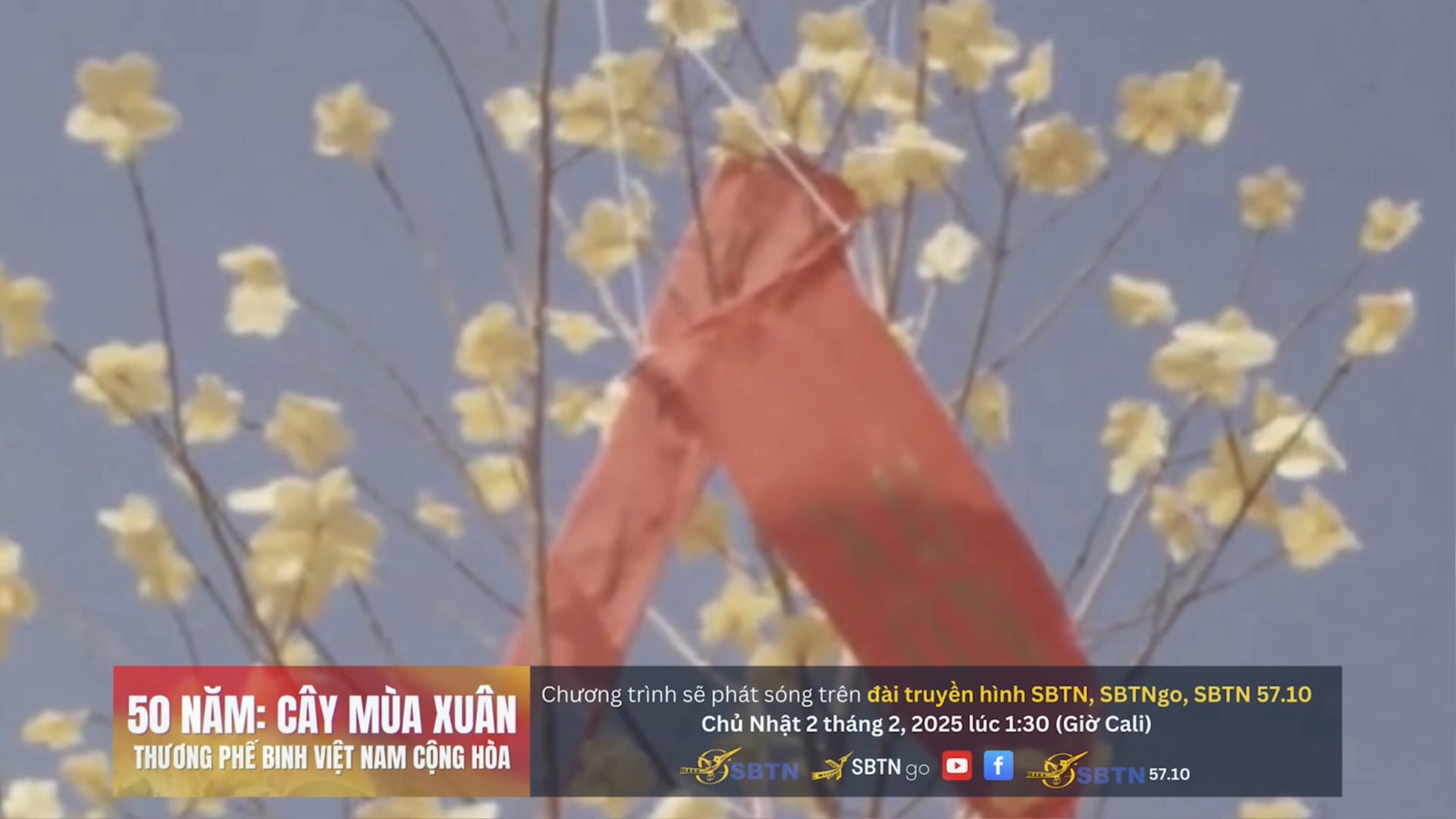 Tin Buổi Trưa | 30/1/2025