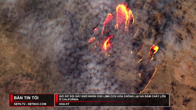 Tin Buổi Chiều | 31/07/2023