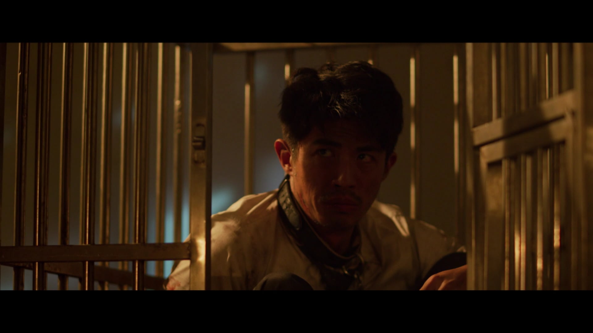 Hắc Miêu Tri Tình | Tập 8