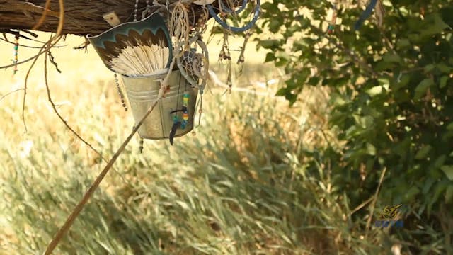 Hành Trình Xuyên Mỹ - Idaho Vùng...