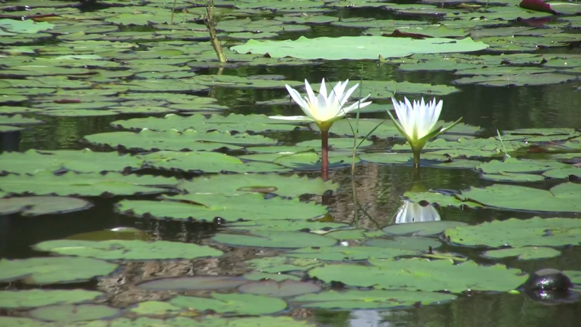 Hành Trình Xuyên Việt 34