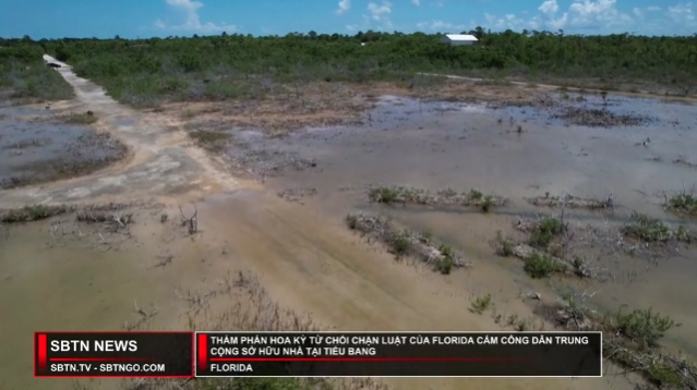 Tin Buổi Trưa | 18/08/2023