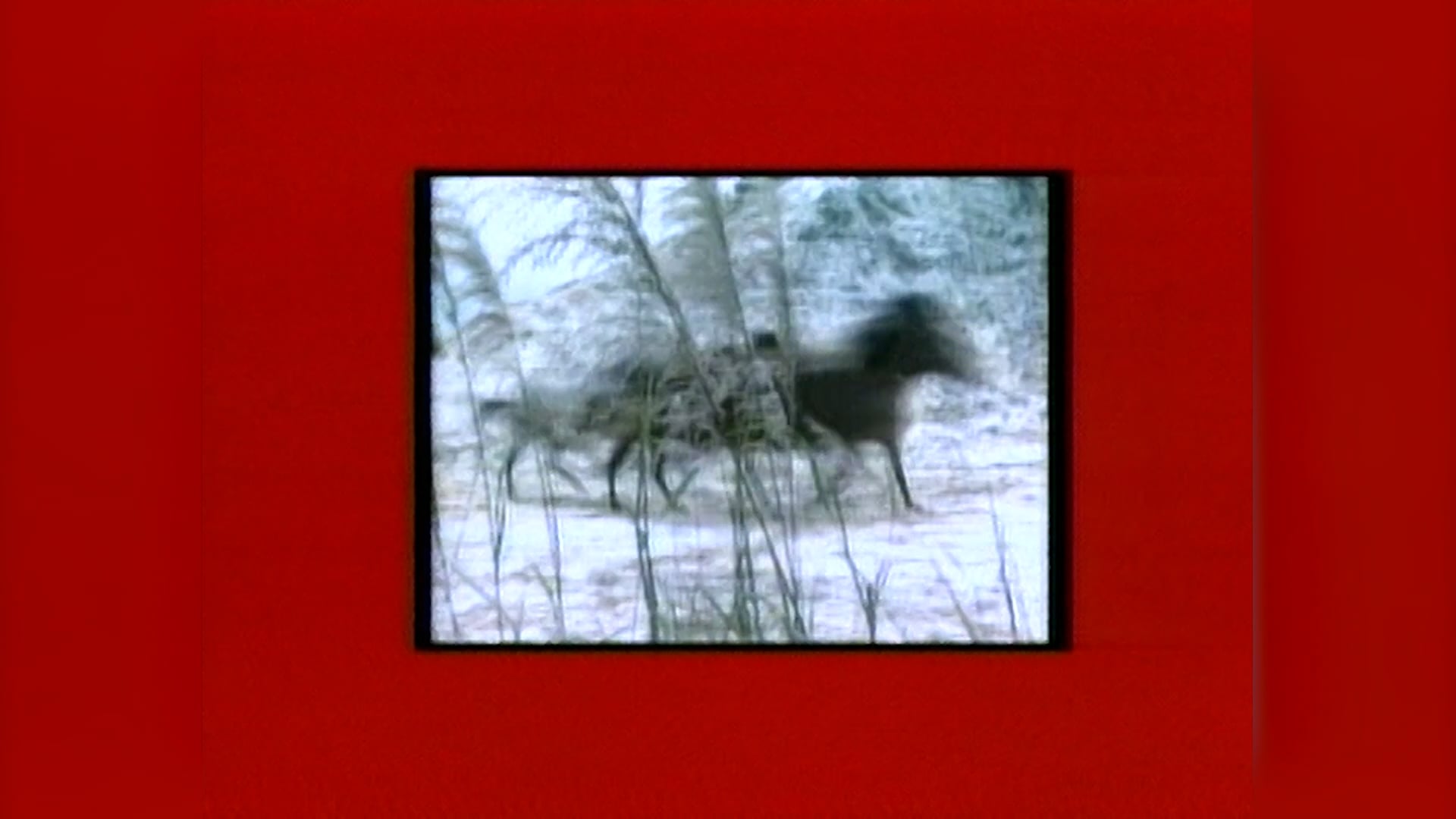 Tuyết Sơn Phi Hồ | Tập 34