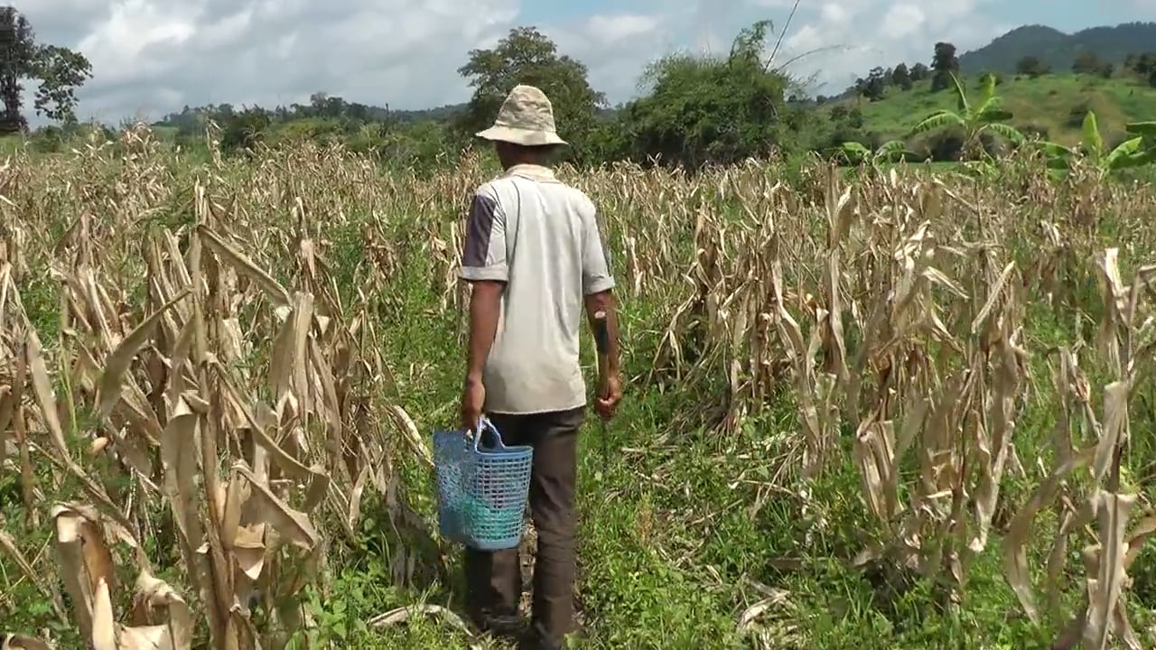 Hành Trình Xuyên Việt 69