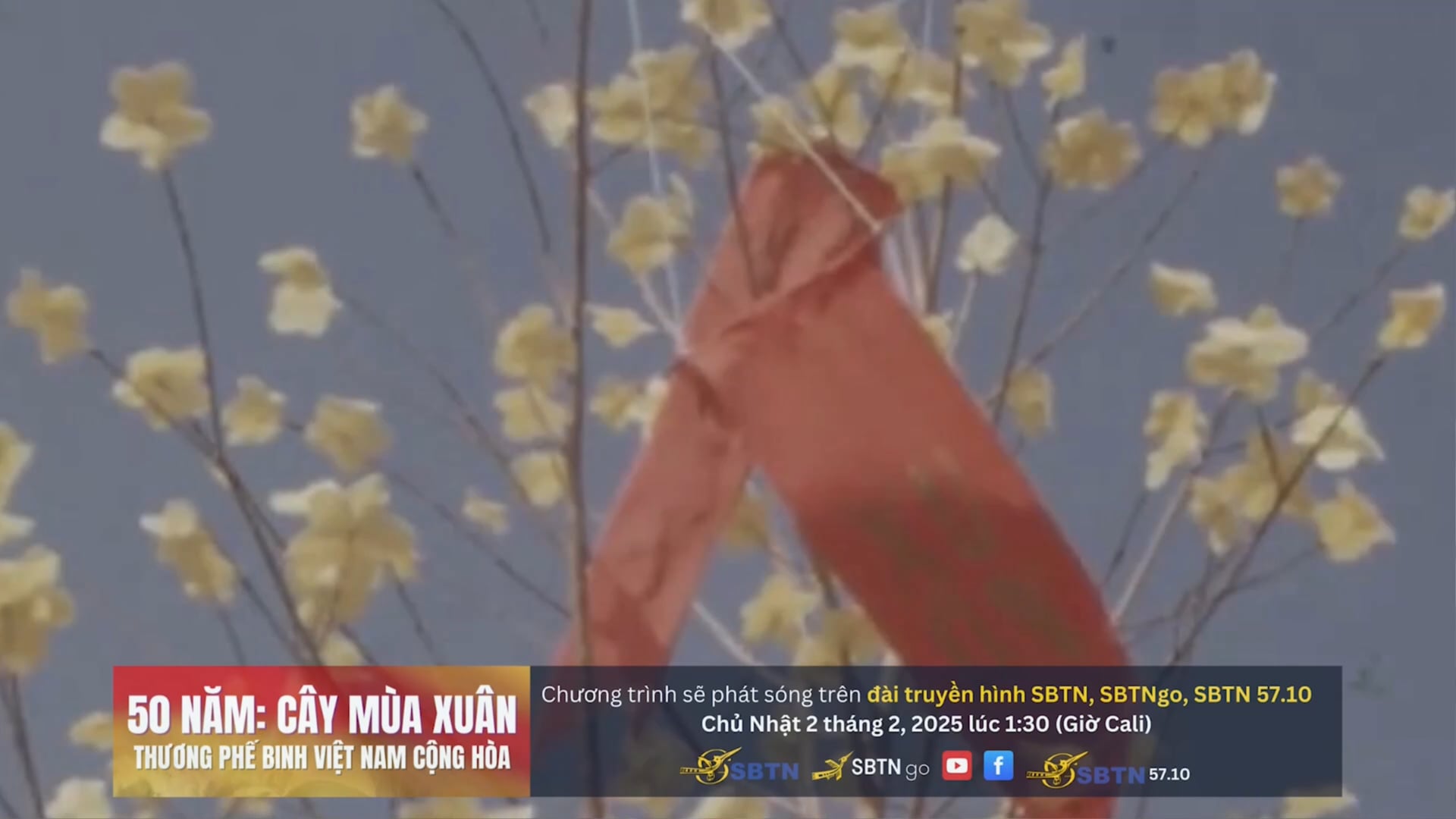 Xoáy Tin | 30/1/2025