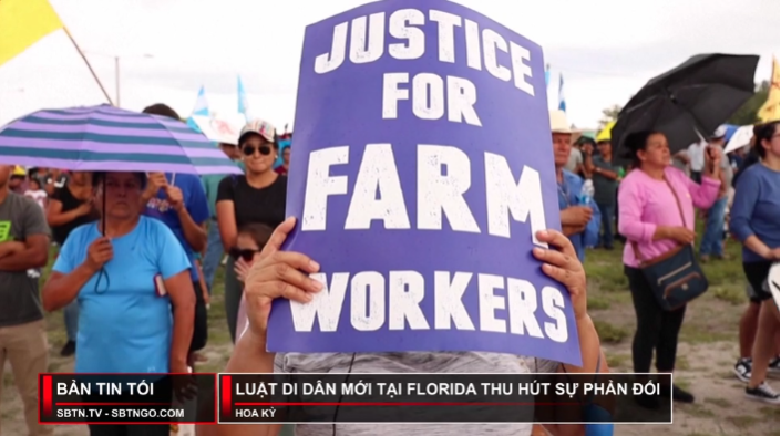 Tin Buổi Tối | 02/06/2023