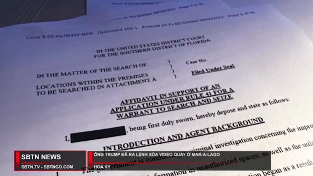 Tin Buổi Trưa | 28/07/2023