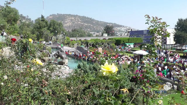 Linh Địa Đức Mẹ : Những Nơi Đức Mẹ Hi...