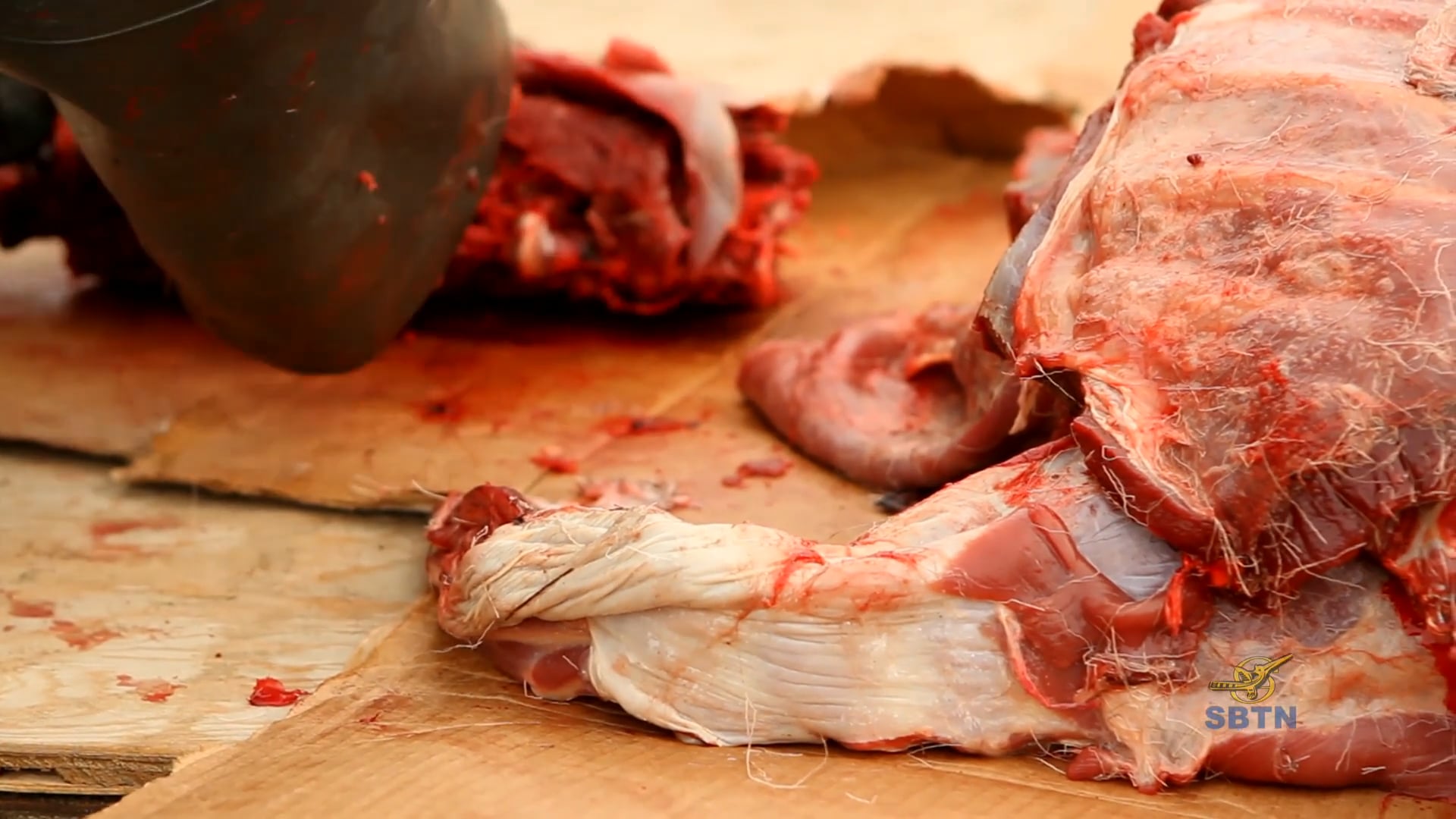 Hành Trình Xuyên Mỹ - Alaska (Phần 2)