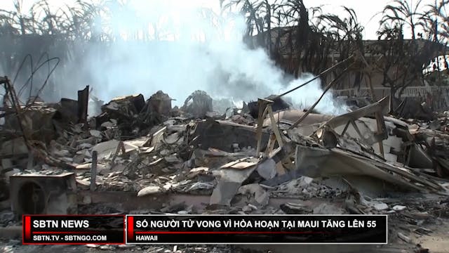Tin Buổi Trưa | 11/08/2023