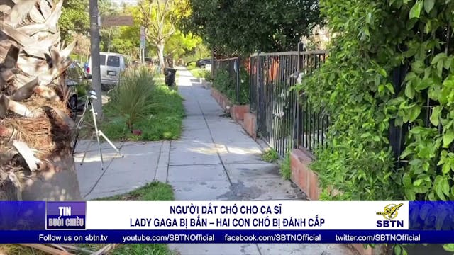 Tin Buổi Tối | 25/02/2021