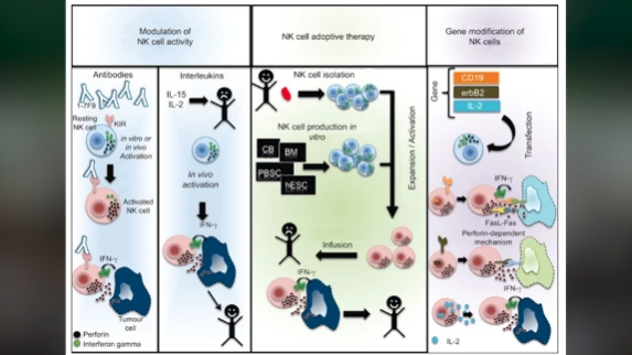 Đối Diện Sự Thật | 16/04/2021