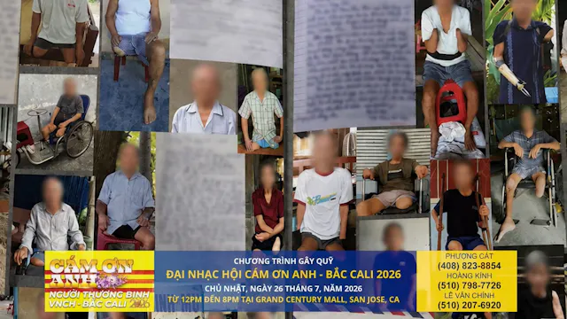 Tin Buổi Trưa | 10/7/2026