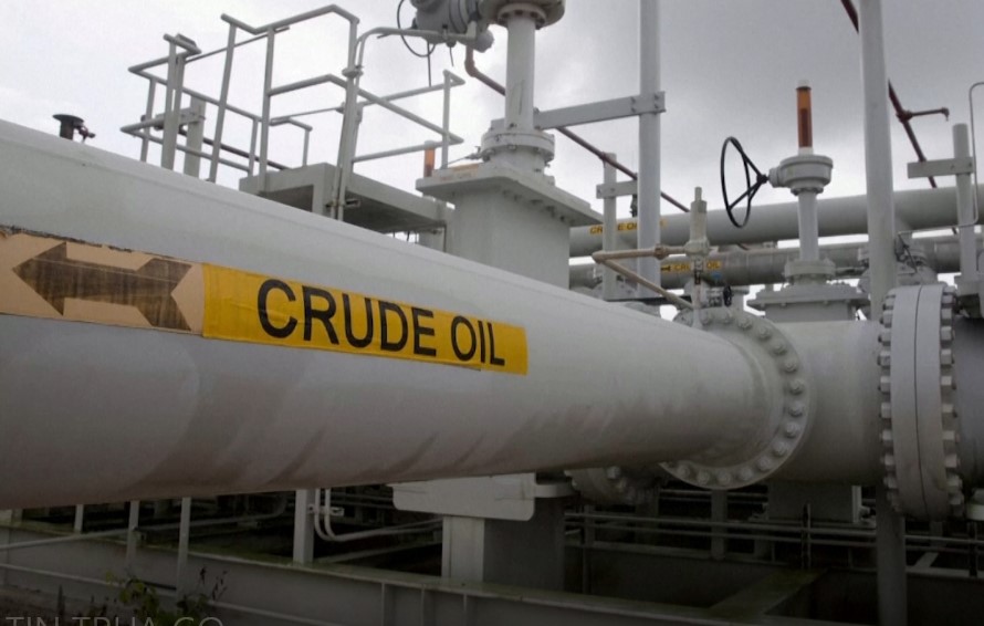 Tin Buổi Trưa | 23/11/2021