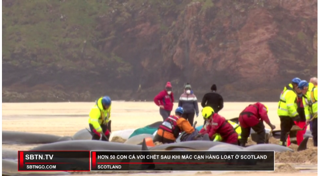 Tin Buổi Tối | 23/07/2023