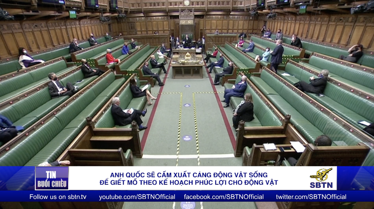 Tin Buổi Tối | 12/05/2021