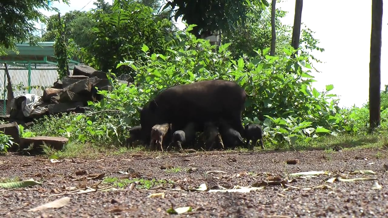 Hành Trình Xuyên Việt 72