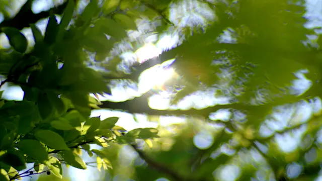 Bác Sĩ Nhi Khoa | Tập 9
