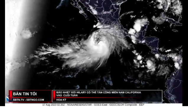 Tin Buổi Chiều | 17/08/2023