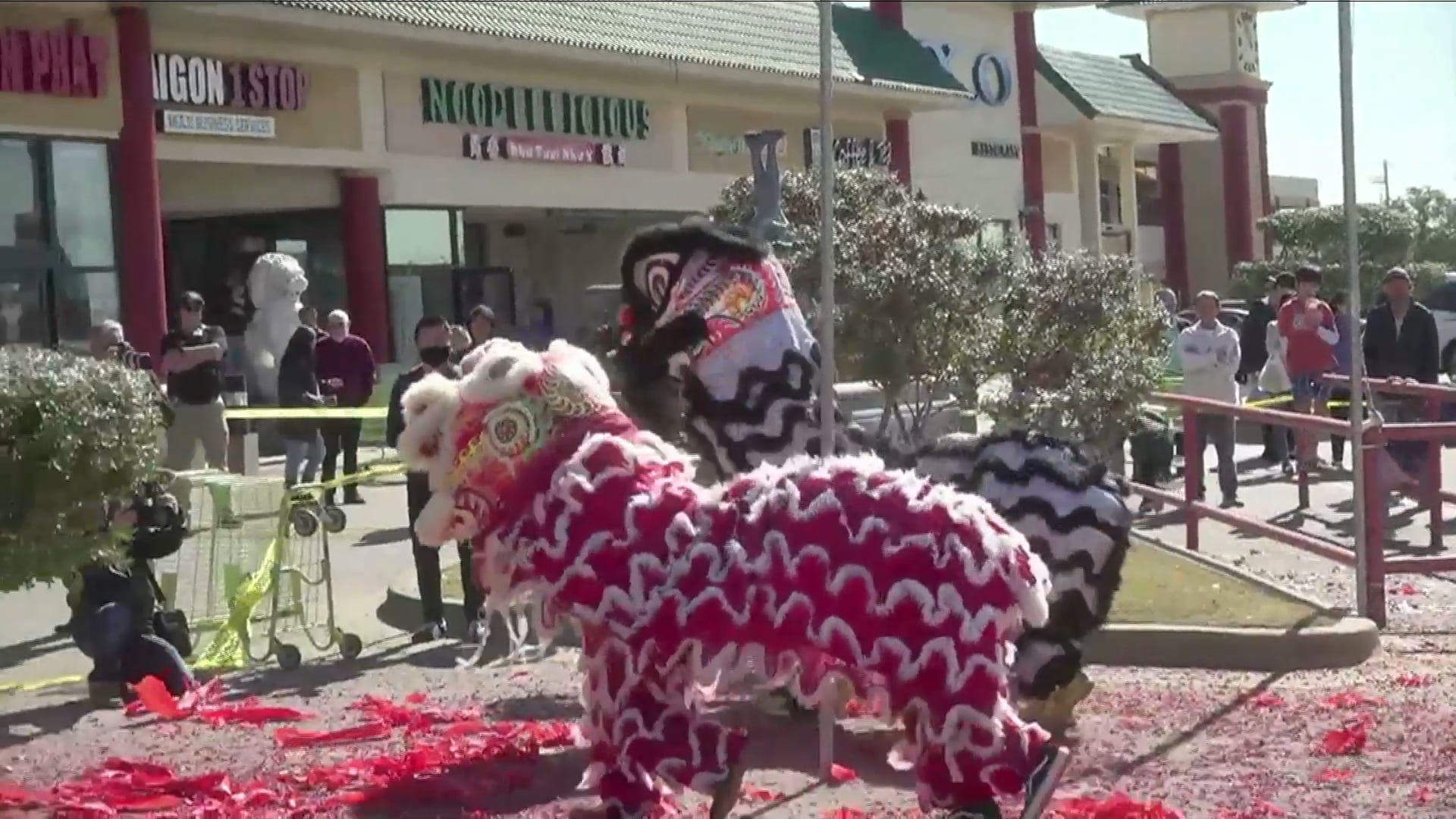 SBTN Texas | 13/02/2020