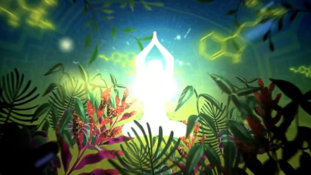 Phật Pháp & Đời Đạo | Show 29