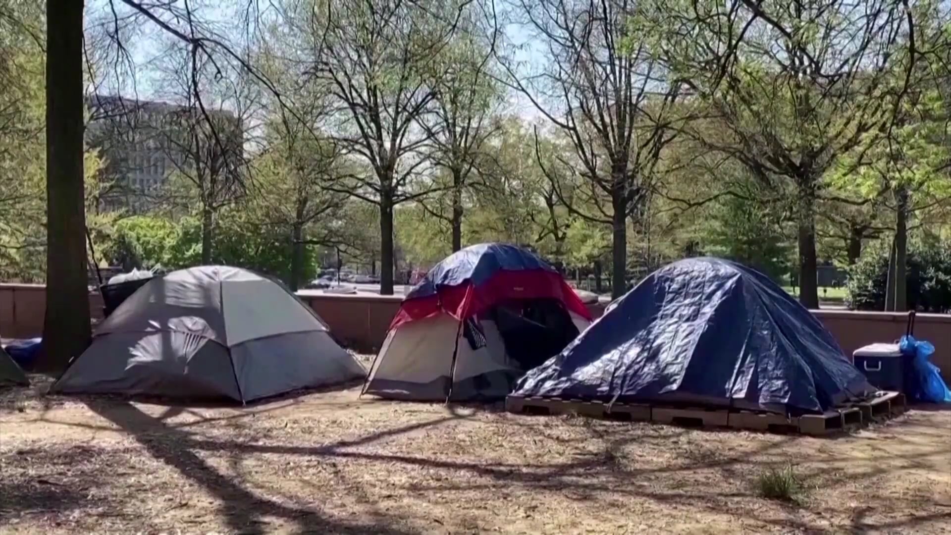 Tin Buổi Trưa | 25/11/2020