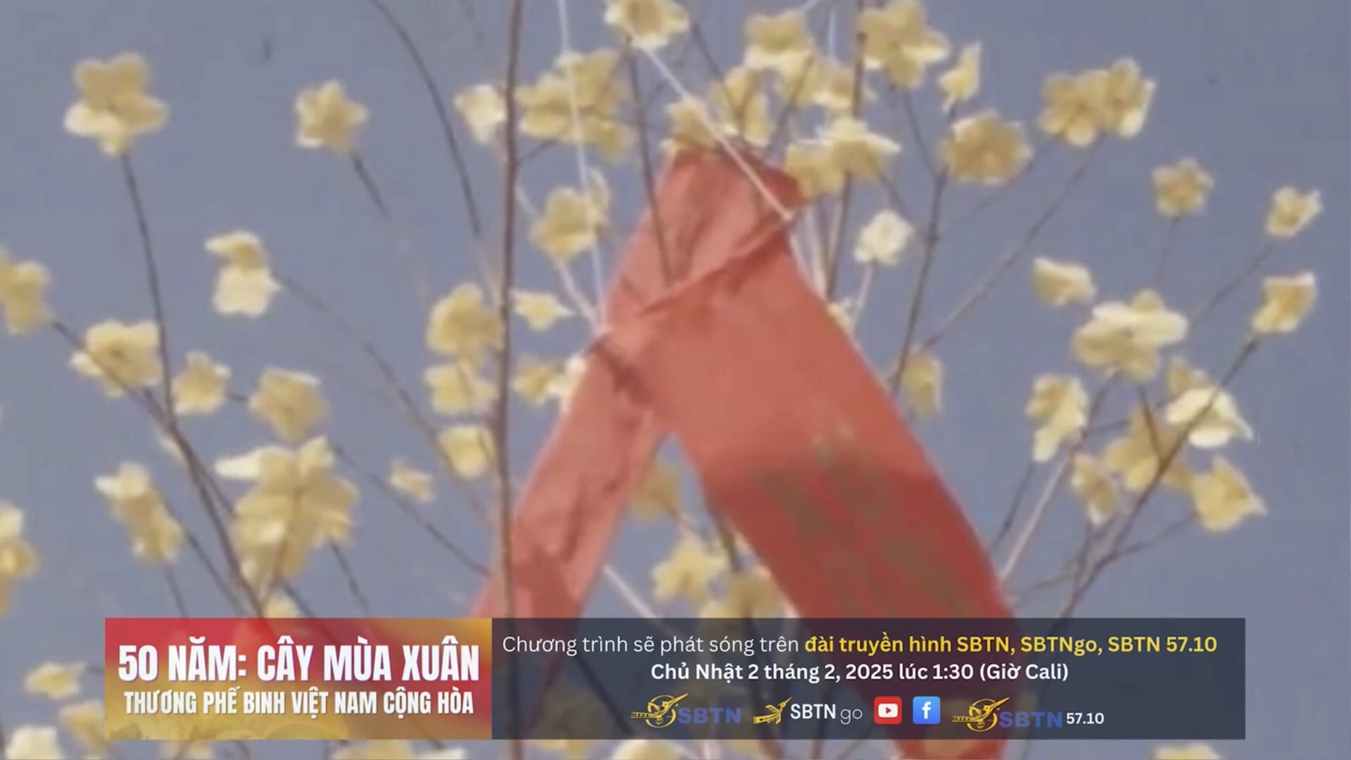 Tin Tức Việt Nam Trong Tuần | 30/1/2025