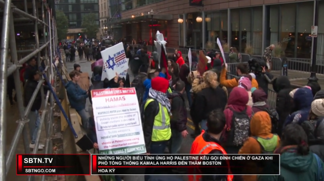 Tin Buổi Tối | 11/11/2023