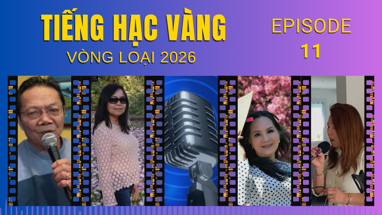 Tiếng Hạc Vàng Vòng Loại 2026 | Episode 11 | SBTN Senior Voice 2026