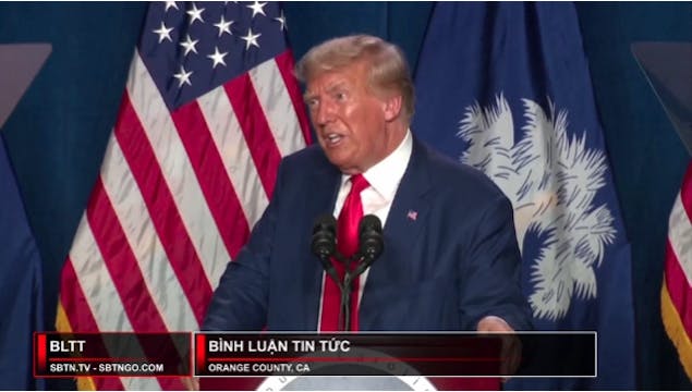 Bình Luận Tin Tức | 08/08/2023