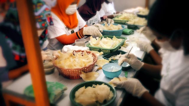 V News với Thuý Vi | Show 1051